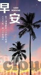 森林舞会兑换人民币-森林舞会，从自然之舞到经济价值的转换